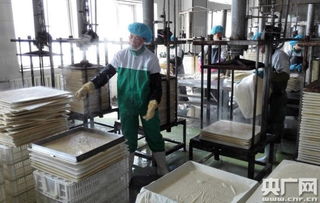 天人和 寧夏食品企業(yè)榮膺中國(guó)豆制品樣板工廠，引領(lǐng)健康飲食新風(fēng)尚